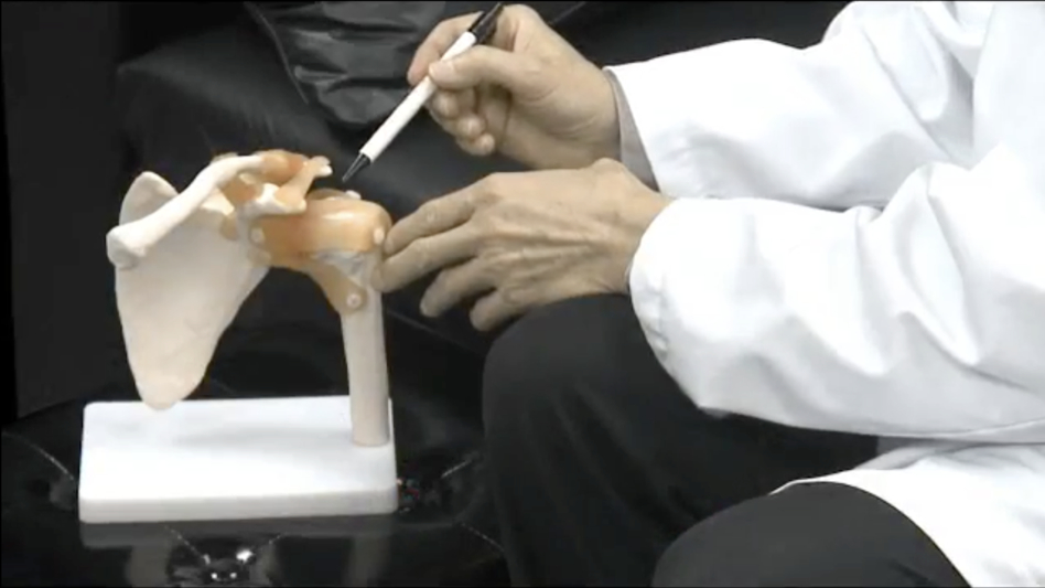A doctor using a model of a shoulder joint 